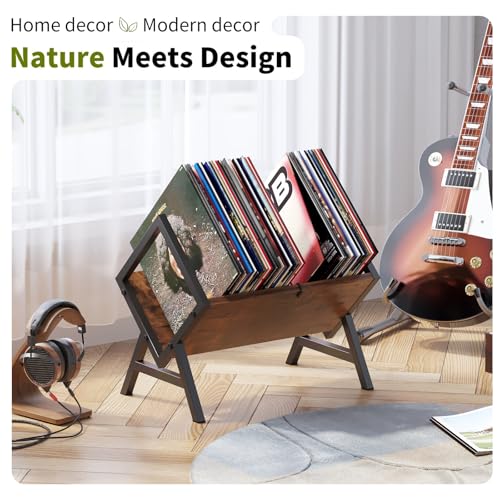 Vinyl Record Storage Holder for Display and Organization