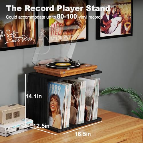 Wall Mount Vinyl Record Stand, Up to 80-100 Albums, 3-Compartment Holder